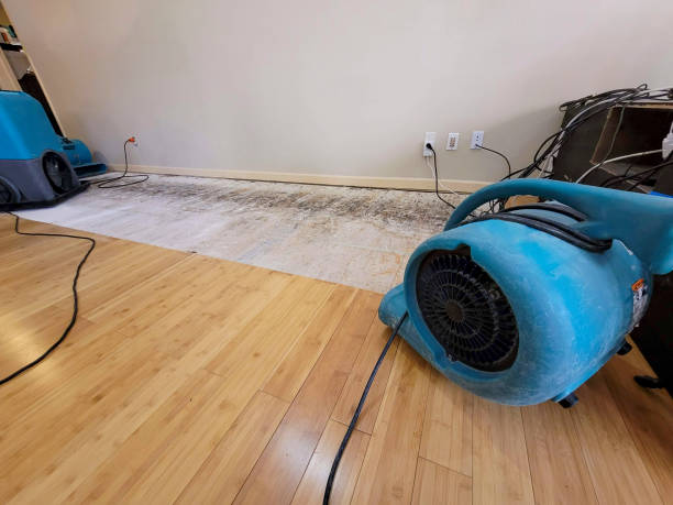 Professional Ceiling Water Damage Repair technician working in Demarest, NJ